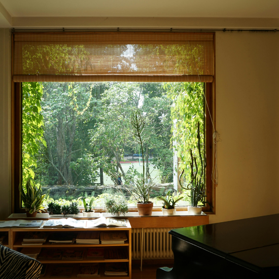 Ruhe finden I Wohnpsychologie